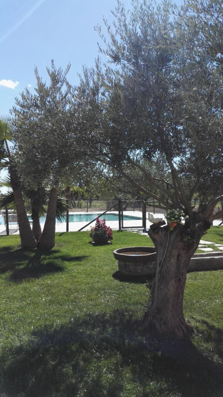 Agriturismo San Gallo Strassoldo Экстерьер фото