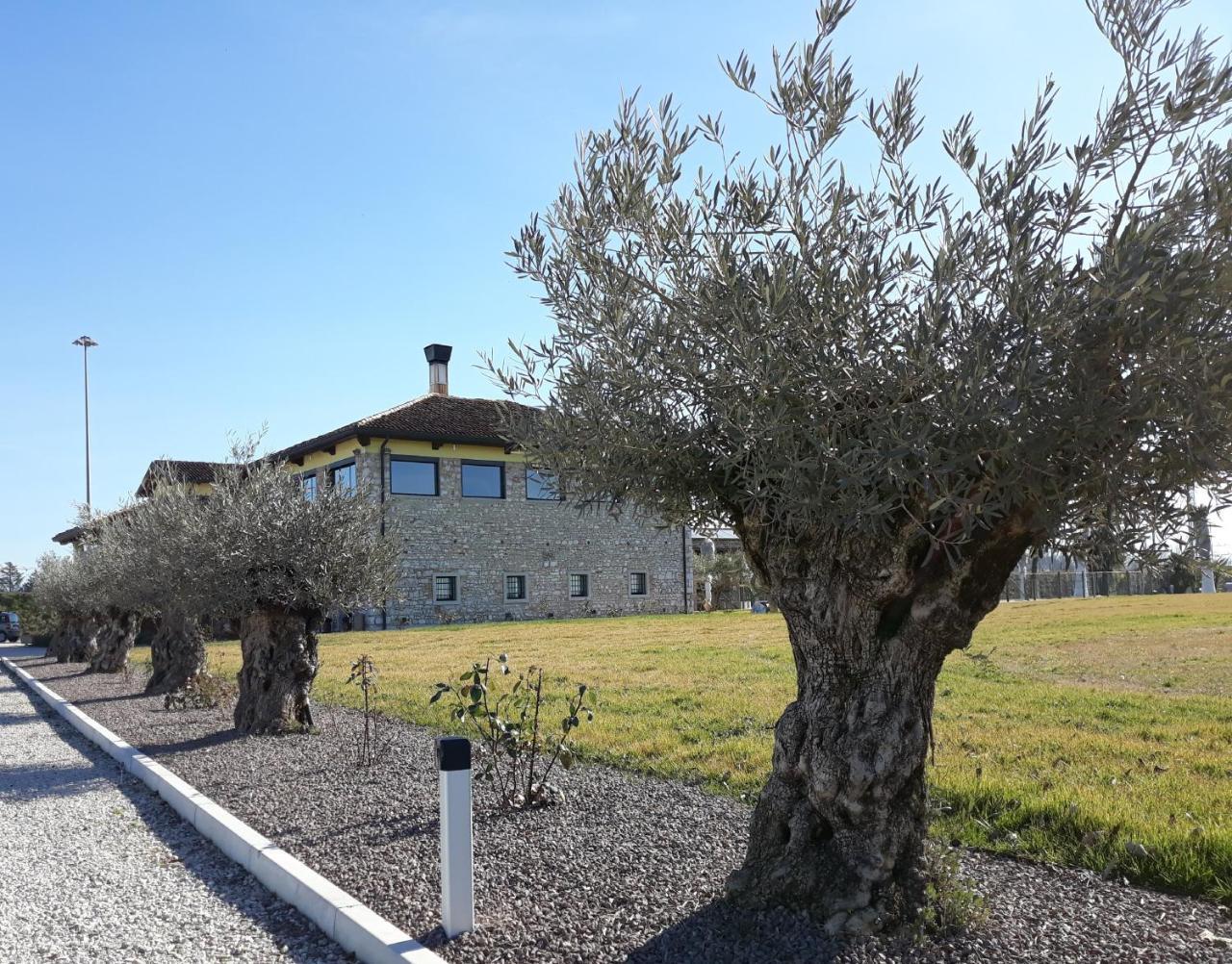 Agriturismo San Gallo Strassoldo Экстерьер фото